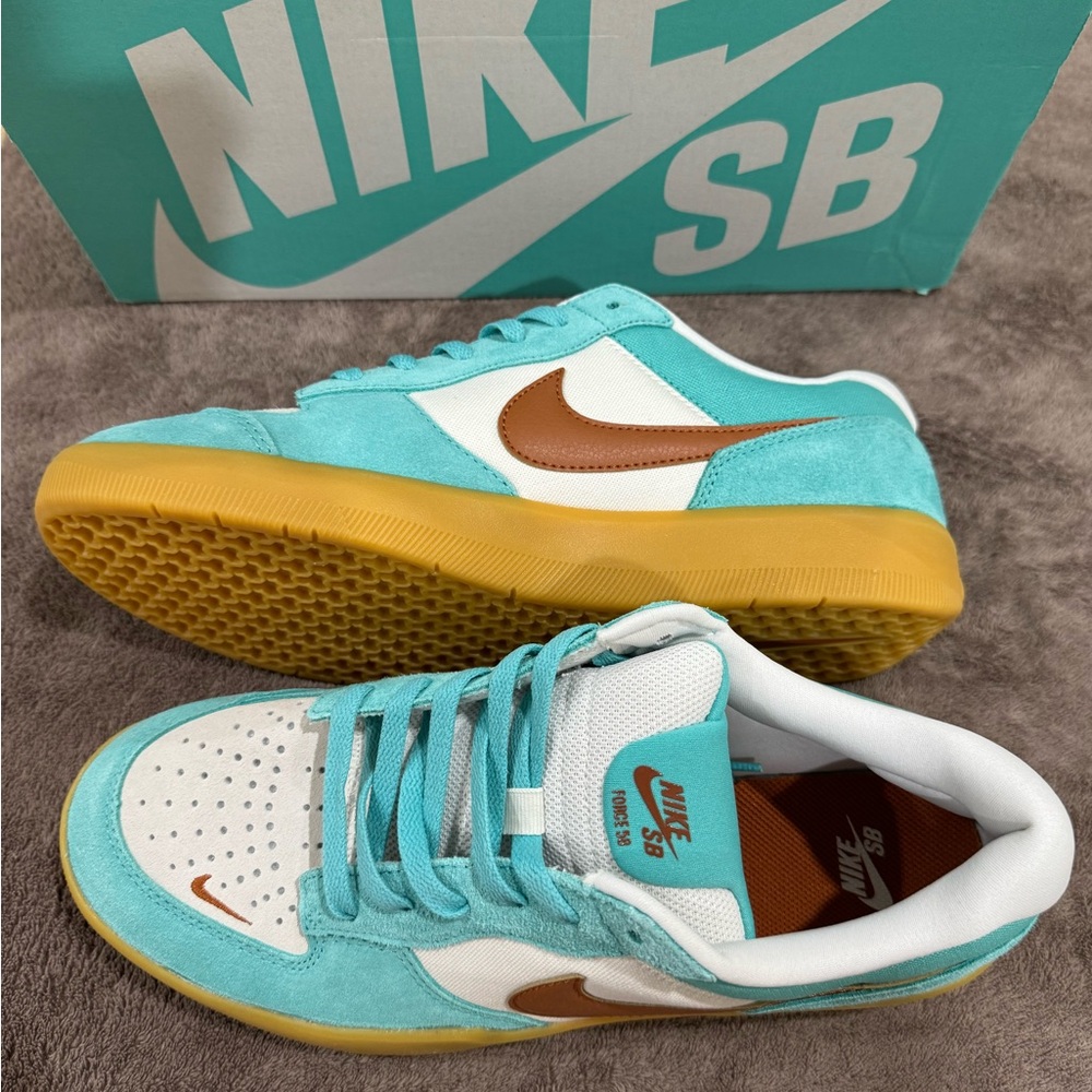 Nike SB Turquoise and Brown Sneakers